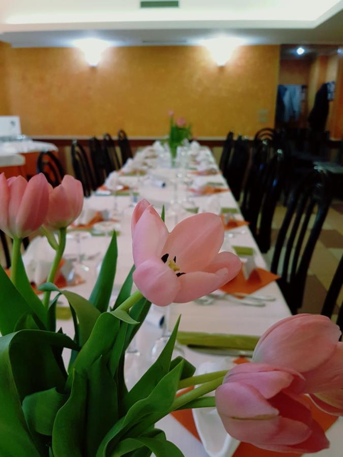 Albergo Ristorante Il Delfino Novare Extérieur photo